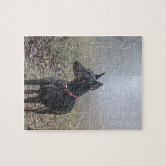 Doberman Pinscher Legpuzzel (Horizontaal)