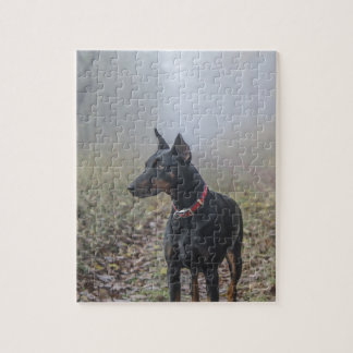 Doberman Pinscher Legpuzzel
