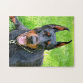 Doberman pinscher legpuzzel (Horizontaal)