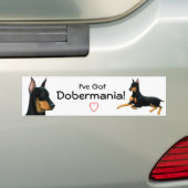 Doberman Pinscher Love Bumpersticker (Op auto)