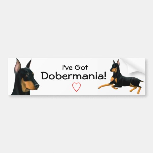 Doberman Pinscher Love Bumpersticker (Voorkant)
