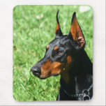 Doberman Pinscher mousepad Muismat<br><div class="desc">Doberman Pinscher,  Fotografie Ritmo Boxer-Design</div>
