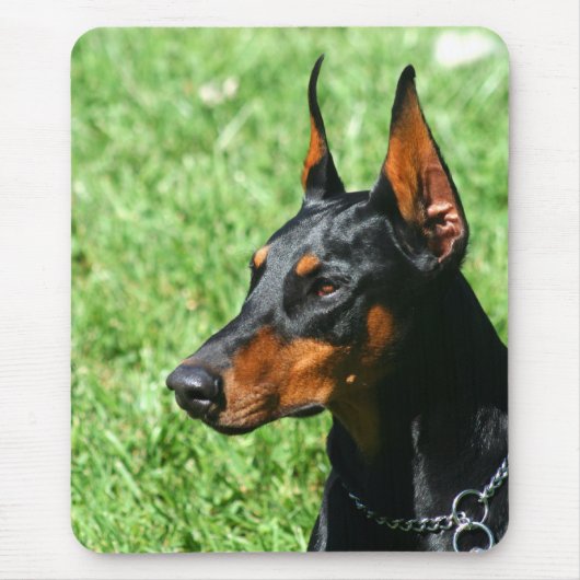 Doberman Pinscher mousepad Muismat (Voorkant)