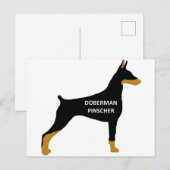 Doberman Pinscher-naam kleur zwart Briefkaart (Voorkant / Achterkant)