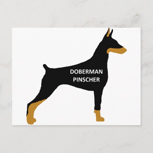 Doberman Pinscher-naam kleur zwart Briefkaart (Voorkant)