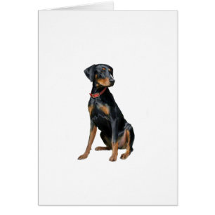 Doberman Pinscher (natuurlijk)