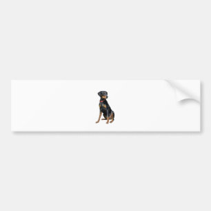 Doberman Pinscher (natuurlijk) Bumpersticker