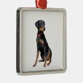 Doberman Pinscher (natuurlijk) Metalen Ornament (Rechts)