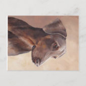 Doberman Pinscher Original Dog Art Briefkaart (Voorkant)
