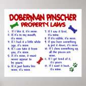 DOBERMAN PINSCHER PL2 POSTER (Voorkant)