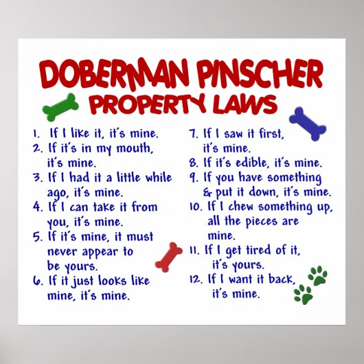 DOBERMAN PINSCHER PL2 POSTER (Voorkant)