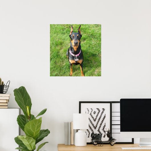 Doberman Pinscher Poster (Thuiskantoor)