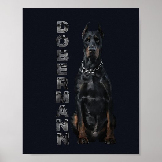 Doberman Pinscher Poster (Voorkant)