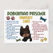 Doberman Pinscher Property Laws 4 Briefkaart (Voorkant)