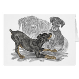 Doberman Pinscher-Puppies