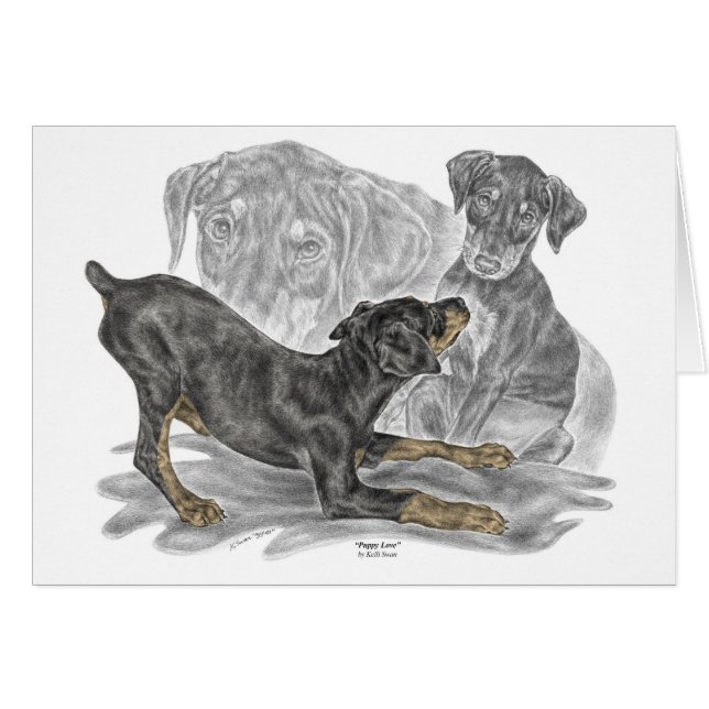 Doberman Pinscher-Puppies (Voorkant Horizontaal)