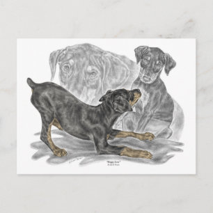 Doberman Pinscher-Puppies Briefkaart