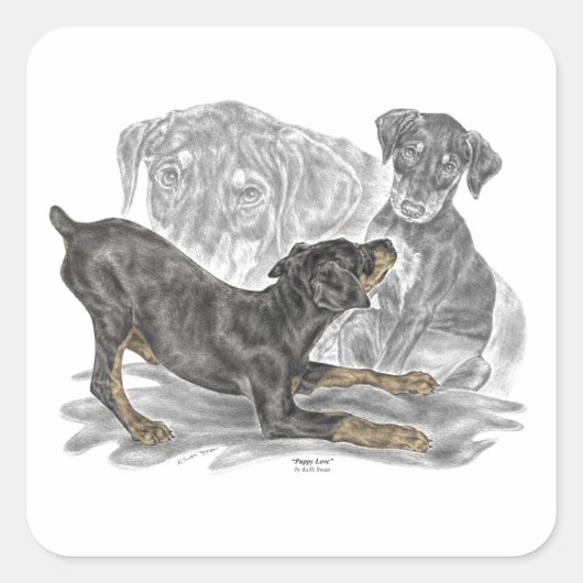 Doberman Pinscher-Puppies Vierkante Sticker (Voorkant)