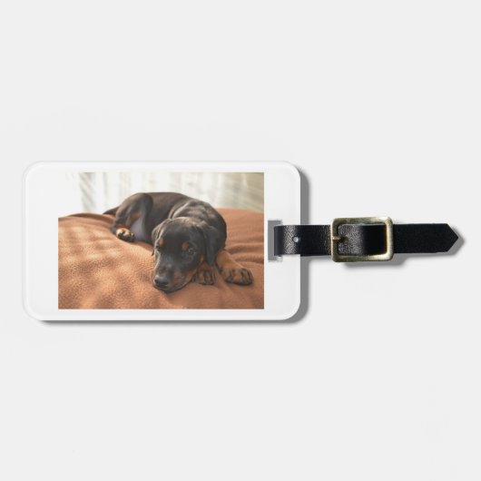 doberman-pinscher-puppy bagagelabel (Voorkant horizontaal)