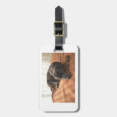 doberman-pinscher-puppy bagagelabel (Voorkant verticaal)