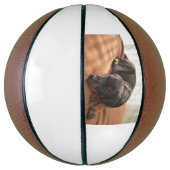 doberman-pinscher-puppy basketbal (Verticaal)
