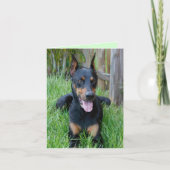 Doberman Pinscher Puppy Dog Blank Note Card Kaart (Voorkant)