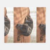 doberman-pinscher-puppy fleece deken (Voorkant (Horizontaal))