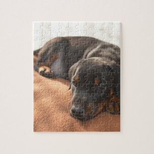 doberman-pinscher-puppy legpuzzel