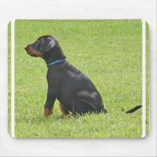 Doberman Pinscher Puppy Muismat