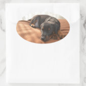 doberman-pinscher-puppy ovale sticker (Tas)