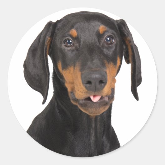 doberman pinscher puppy ronde sticker (Voorkant)