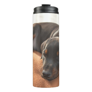 doberman-pinscher-puppy thermosbeker