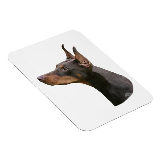 Doberman Pinscher - rood/bruin hoofd Magneet (Rechterzijde)