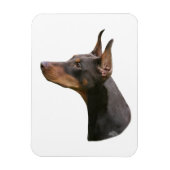 Doberman Pinscher - rood/bruin hoofd Magneet (Verticaal)