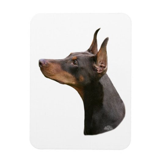 Doberman Pinscher - rood/bruin hoofd Magneet (Verticaal)