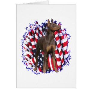 Doberman Pinscher (rood) Patriot