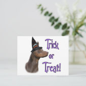 Doberman Pinscher (rood) Trick Briefkaart (Staand voorkant)
