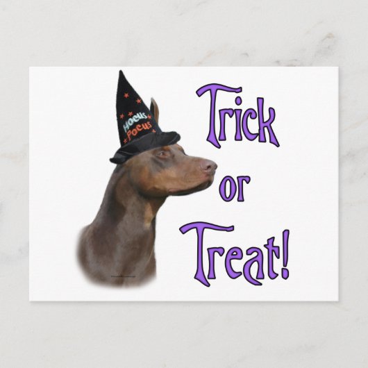 Doberman Pinscher (rood) Trick Briefkaart (Voorkant)