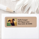 Doberman Pinscher Schattige & Schattig met grote n Etiket (Insitu)