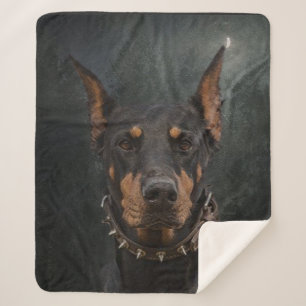 Doberman Pinscher Sherpa Deken