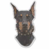 Doberman Pinscher Sticker (Voorkant)