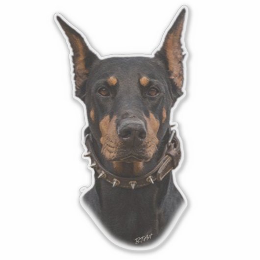 Doberman Pinscher Sticker (Voorkant)