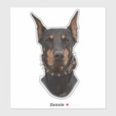 Doberman Pinscher Sticker (Vel)