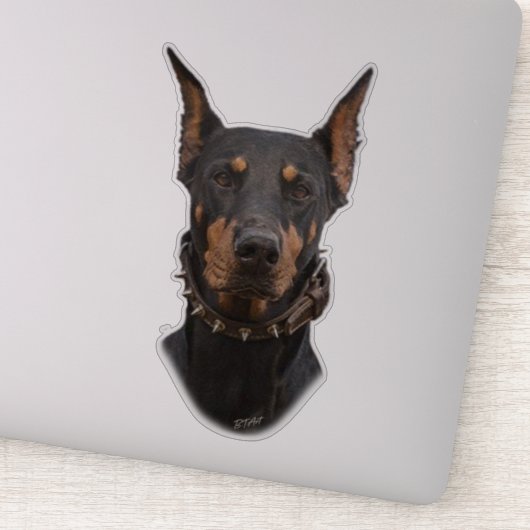 Doberman Pinscher Sticker (Detail)