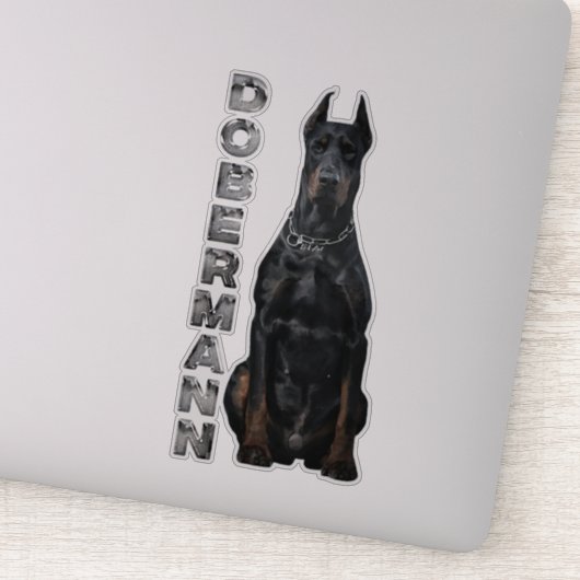 Doberman Pinscher Sticker (Detail)