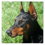 Doberman Pinscher Tegeltje<br><div class="desc">voeg tekst toe of upload je eigen afbeelding</div>