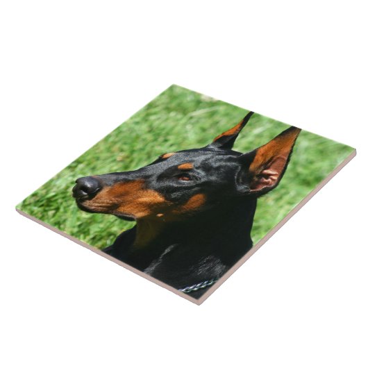 Doberman Pinscher Tegeltje (Zijkant)