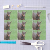 Doberman Pinscher Tissuepapier (Craft)