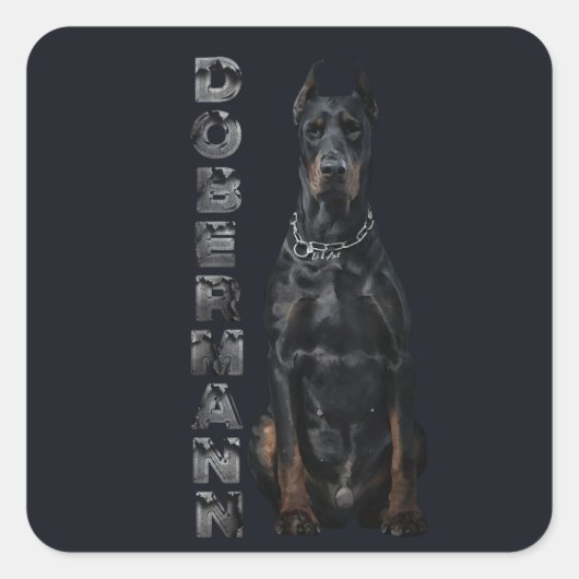 Doberman Pinscher Vierkante Sticker (Voorkant)