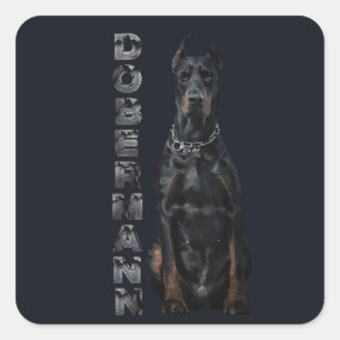 Doberman Pinscher Vierkante Sticker